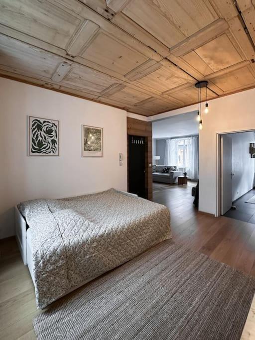 Hypercentre 80M2, A Deux Pas Du Chateau Des Rohan 萨维尔纳 外观 照片