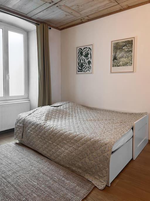 Hypercentre 80M2, A Deux Pas Du Chateau Des Rohan 萨维尔纳 外观 照片